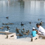 IMG_4374