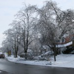 IMG_4542