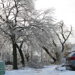 IMG_4547