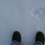 IMG_4559