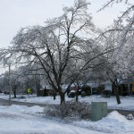 IMG_4561
