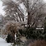 Ice