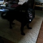 20140330_083544
