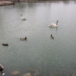 20140418_100524