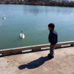20140427_102936