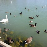 20140427_103419