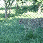 IMG_4586