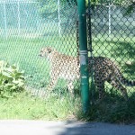 IMG_4587
