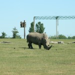 IMG_4660