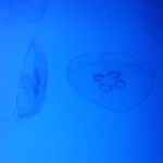 20140111_131232