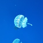 20140111_131425